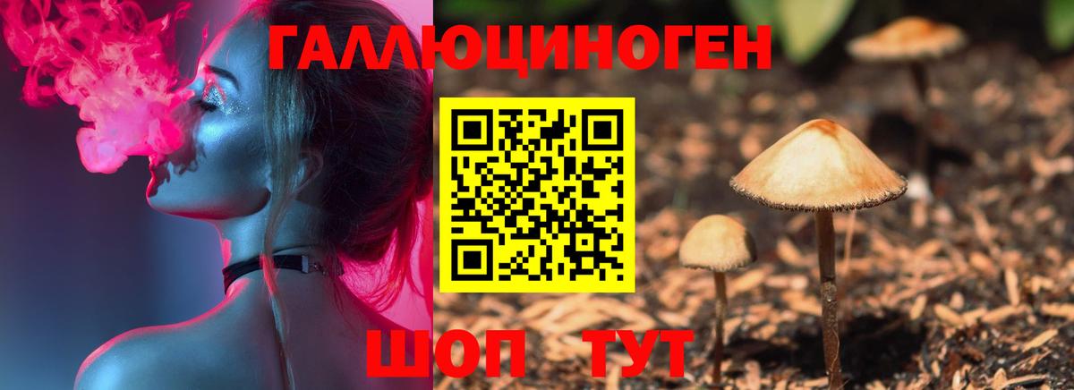 Галлюциногенные грибы мухоморы  Вход с VPN  Севастополь 